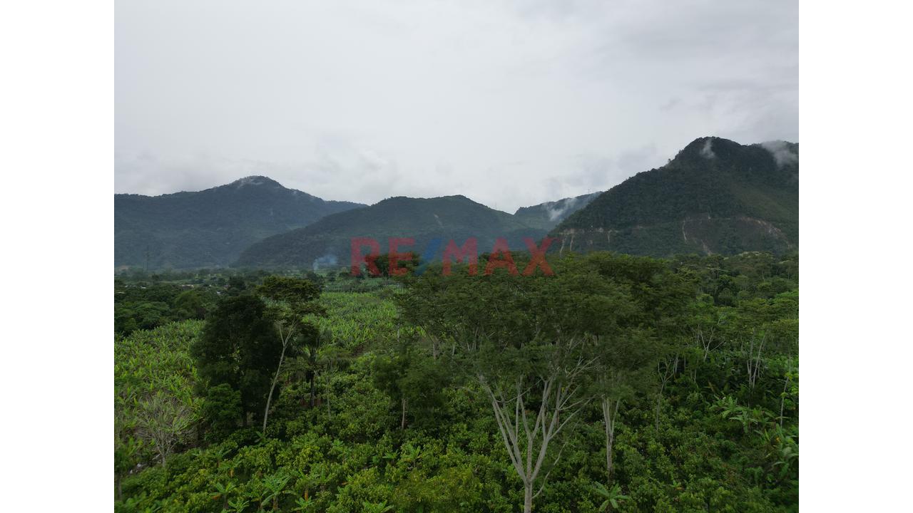 Se Vende Terreno En Tingomaria /Luyando - 12