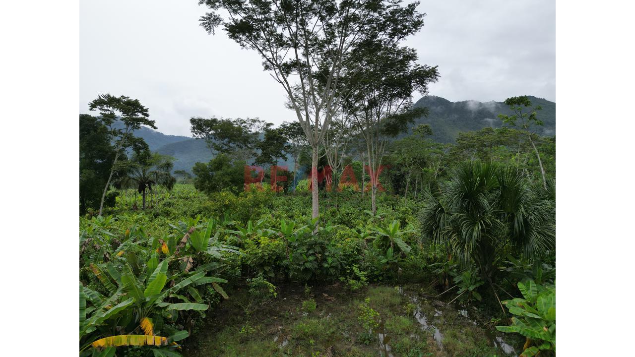 Se Vende Terreno Para Inversion Zona Turistica Tingomaria Huanuco - 8