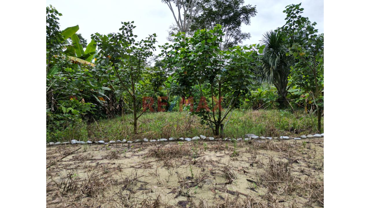 Se Vende Terreno Para Inversion Zona Turistica Tingomaria Huanuco - 6