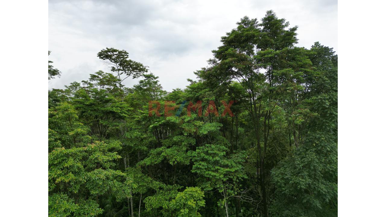 Se Vende Terreno Para Inversion Zona Turistica Tingomaria Huanuco - 16