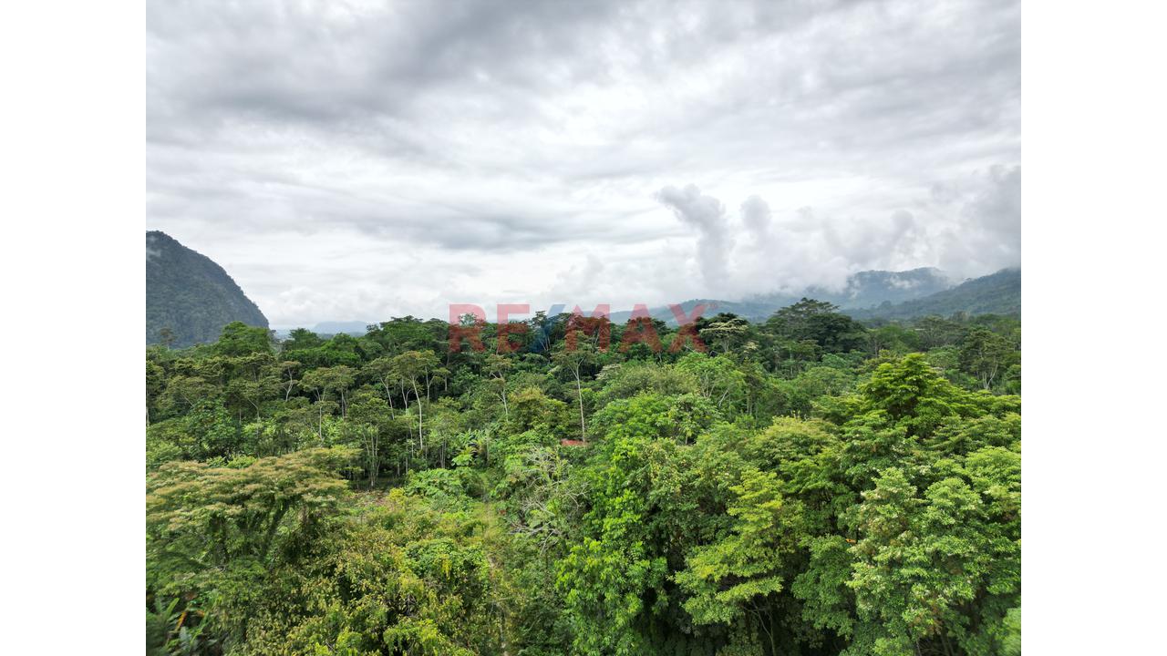 Se Vende Terreno Para Inversion Zona Turistica Tingomaria Huanuco - 9
