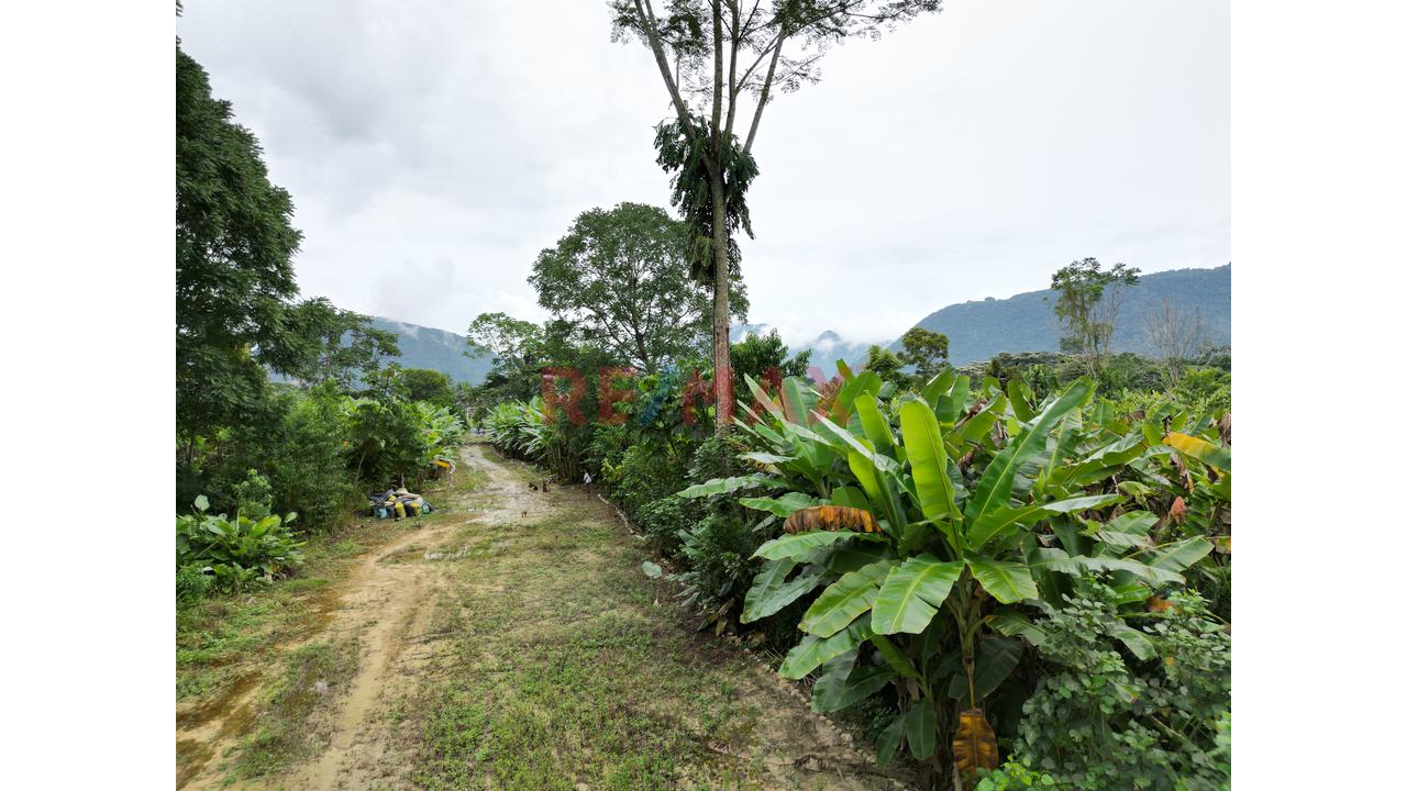 Se Vende Terreno Para Inversion Zona Turistica Tingomaria Huanuco - 3
