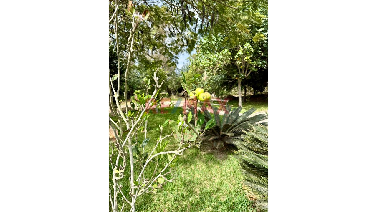 Casa De Campo En Venta Amoblada En Asia Alt Kilómetro 101 Panamericana Sur - 20