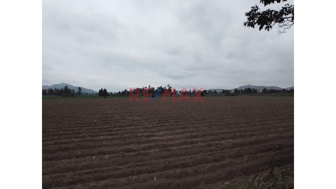 Terreno Agrícola De 5.4 Ha En Barranca | Agua Todo El Año | Ideal Para Expansión Agroindustrial - 6