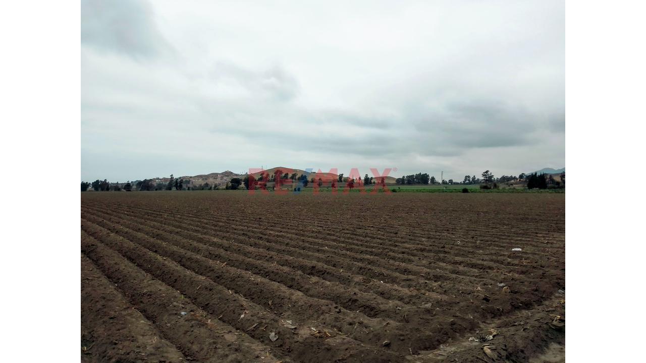 Terreno Agrícola De 5.4 Ha En Barranca | Agua Todo El Año | Ideal Para Expansión Agroindustrial - 7