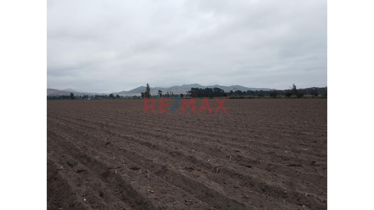 Terreno Agrícola De 5.4 Ha En Barranca | Agua Todo El Año | Ideal Para Expansión Agroindustrial - 5