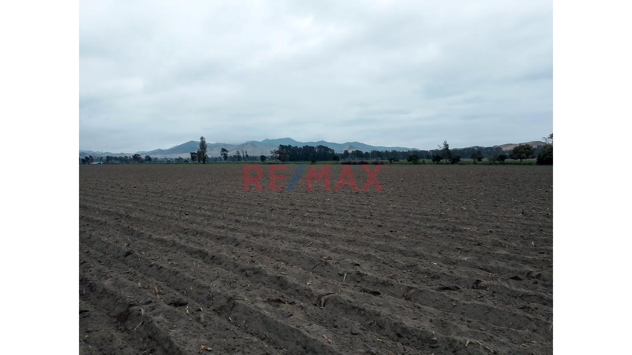 Terreno Agrícola De 5.4 Ha En Barranca | Agua Todo El Año | Ideal Para Expansión Agroindustrial - 3