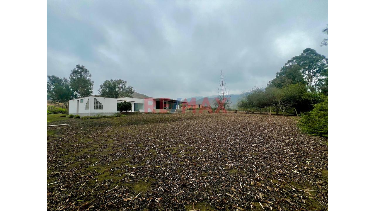 Ocacion Terreno De Mas De 5000M2 + Casa En Condominio - 7