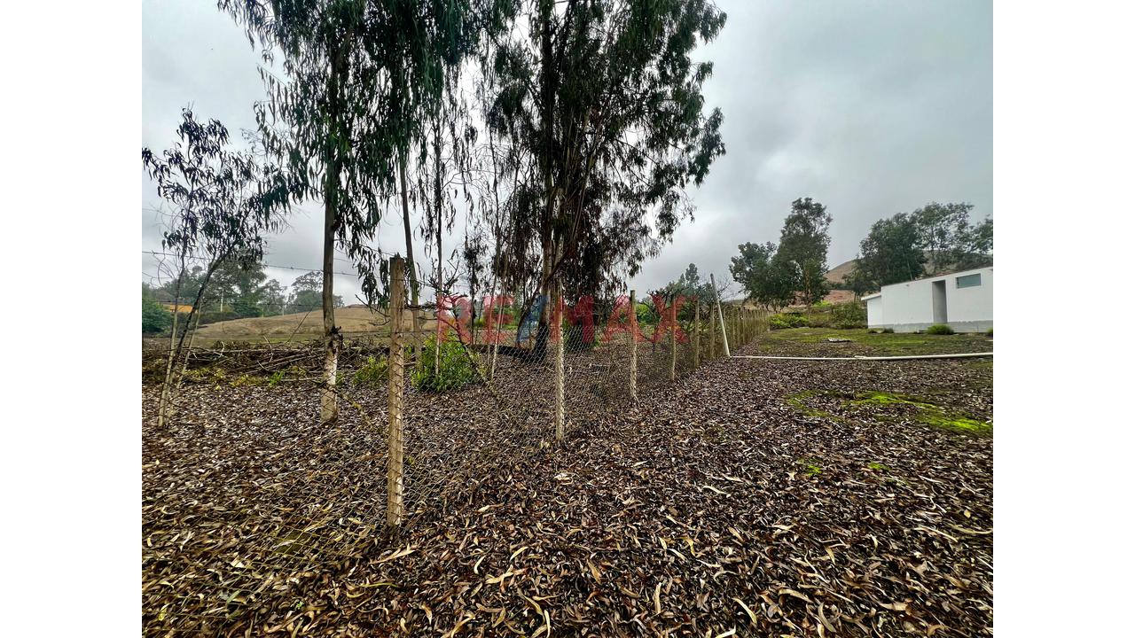 Ocacion Terreno De Mas De 5000M2 + Casa En Condominio - 6
