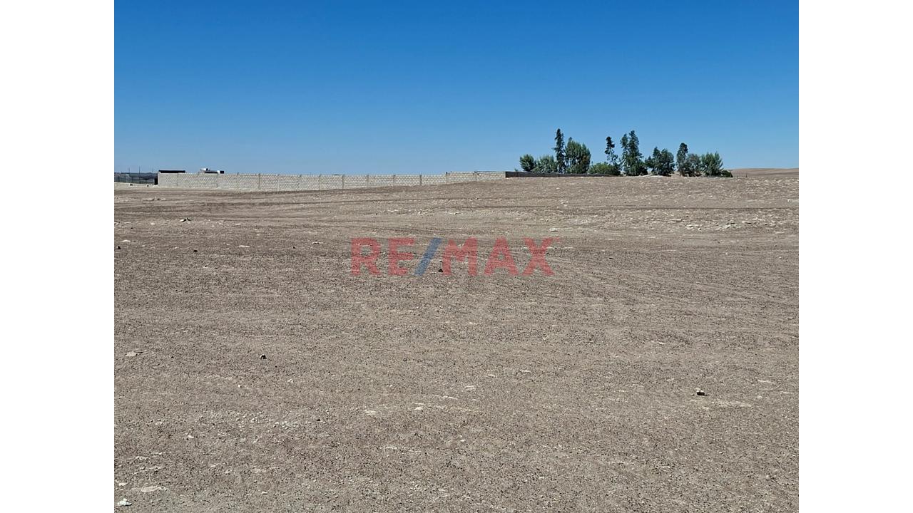 Venta De Terreno Rural Autodema Majes - Siguas - 3