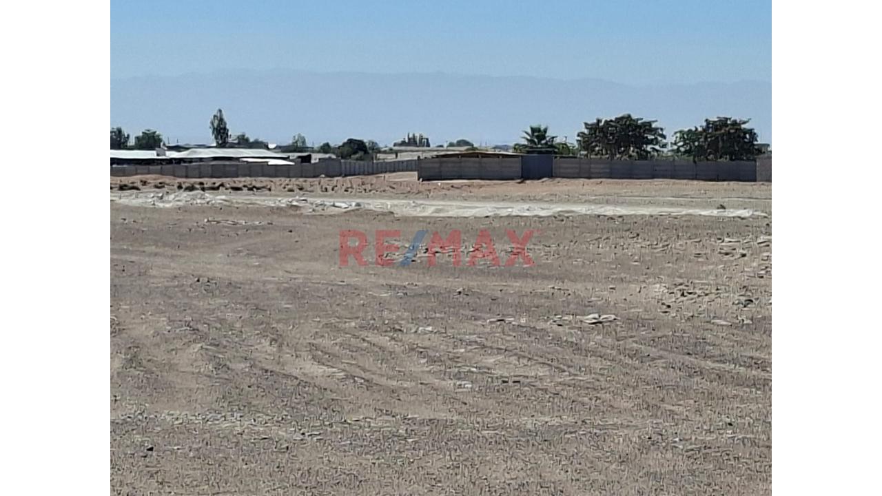 Venta De Terreno Rural Autodema Majes - Siguas - 5