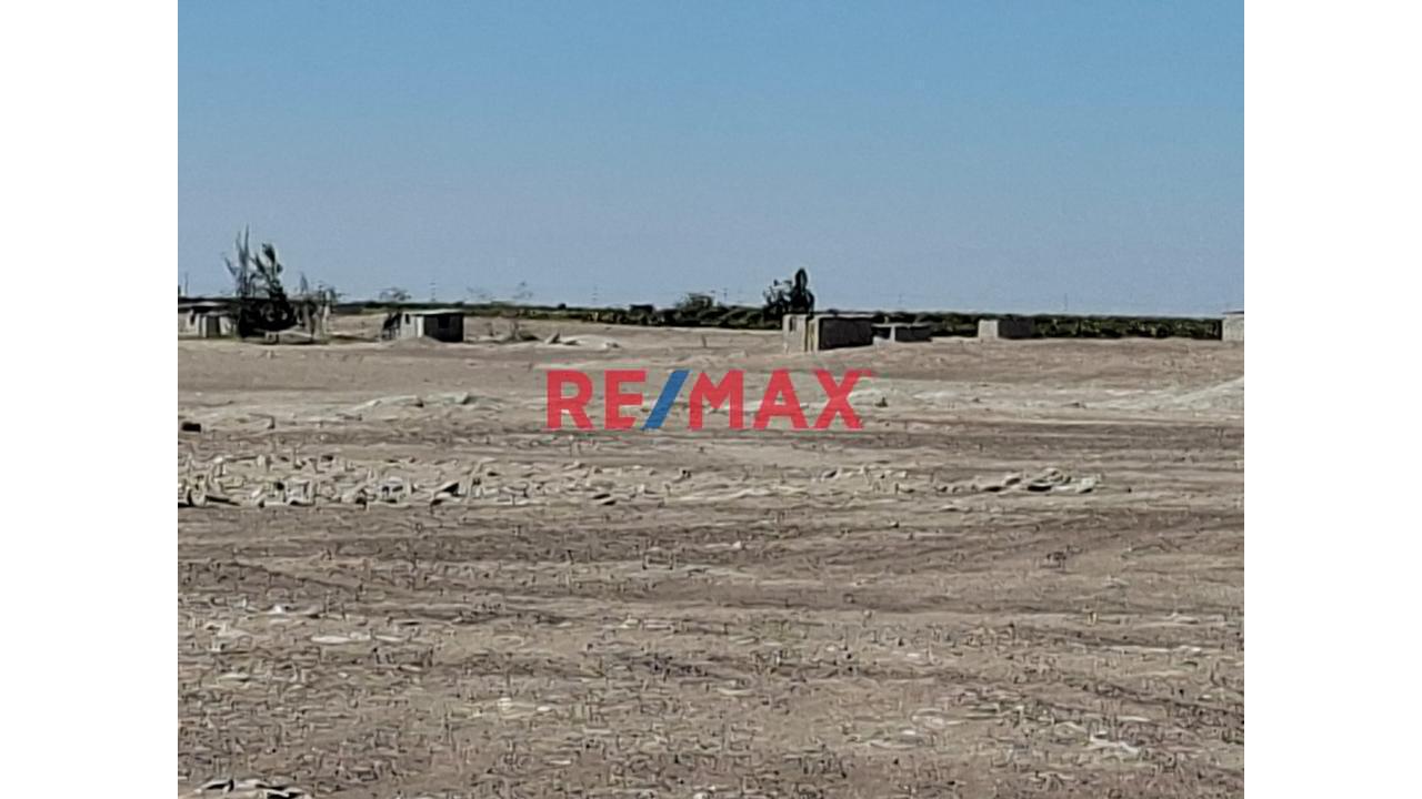 Venta De Terreno Rural Autodema Majes - Siguas - 1
