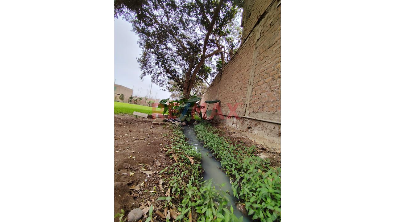 Alquilo Terreno Para Local De 1895M2 En Puente Piedra — foto 10