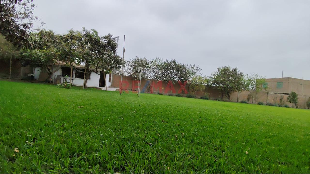 Alquilo Terreno Para Local De 1895M2 En Puente Piedra — foto 2