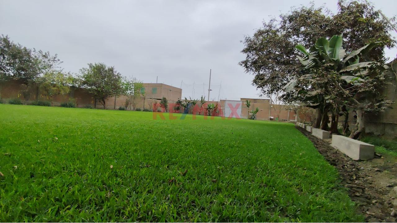 Alquilo Terreno Para Local De 1895M2 En Puente Piedra — foto 3