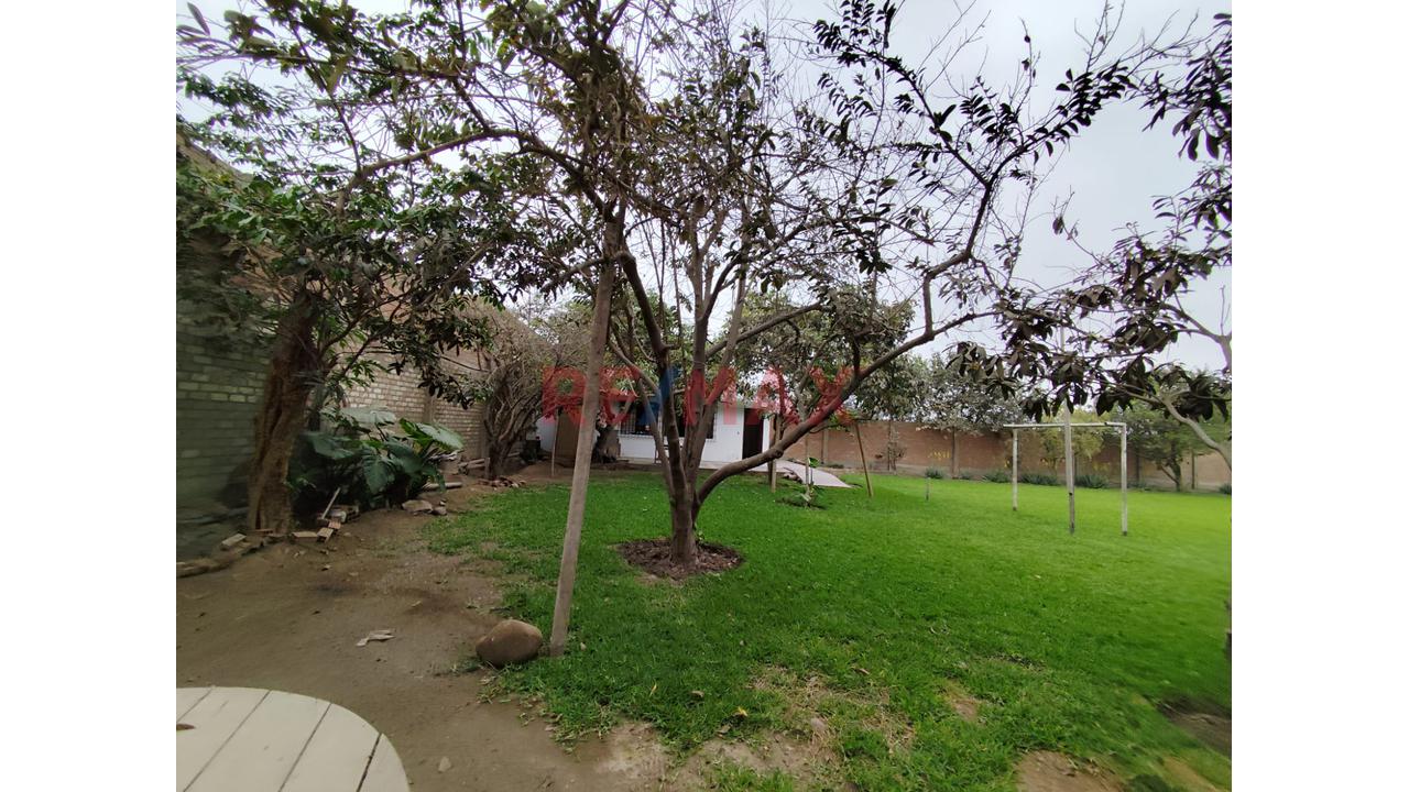 Alquilo Terreno Para Local De 1895M2 En Puente Piedra — foto 9