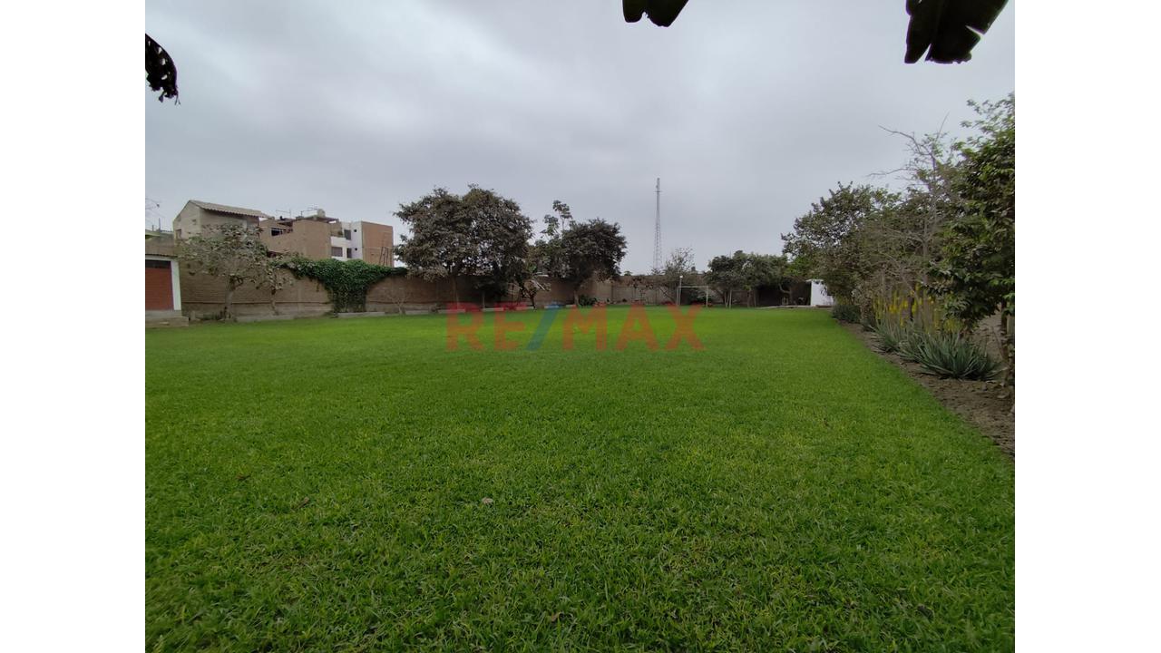 Alquilo Terreno Para Local De 1895M2 En Puente Piedra — foto 7