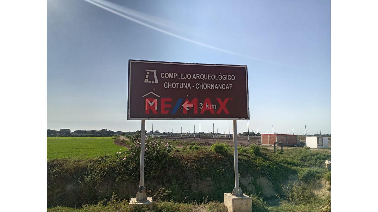 Terreno  Agricola  En Venta  Lambayeque - 4