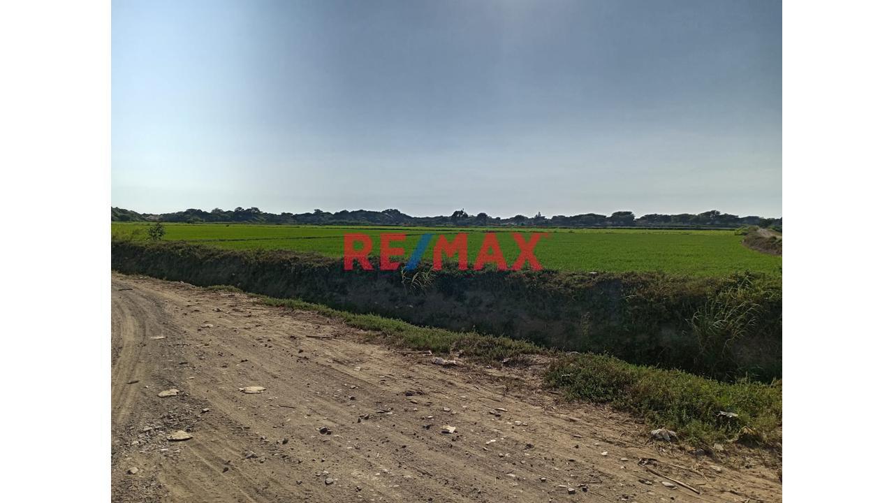 Terreno Agricola En Venta Lambayeque - 1