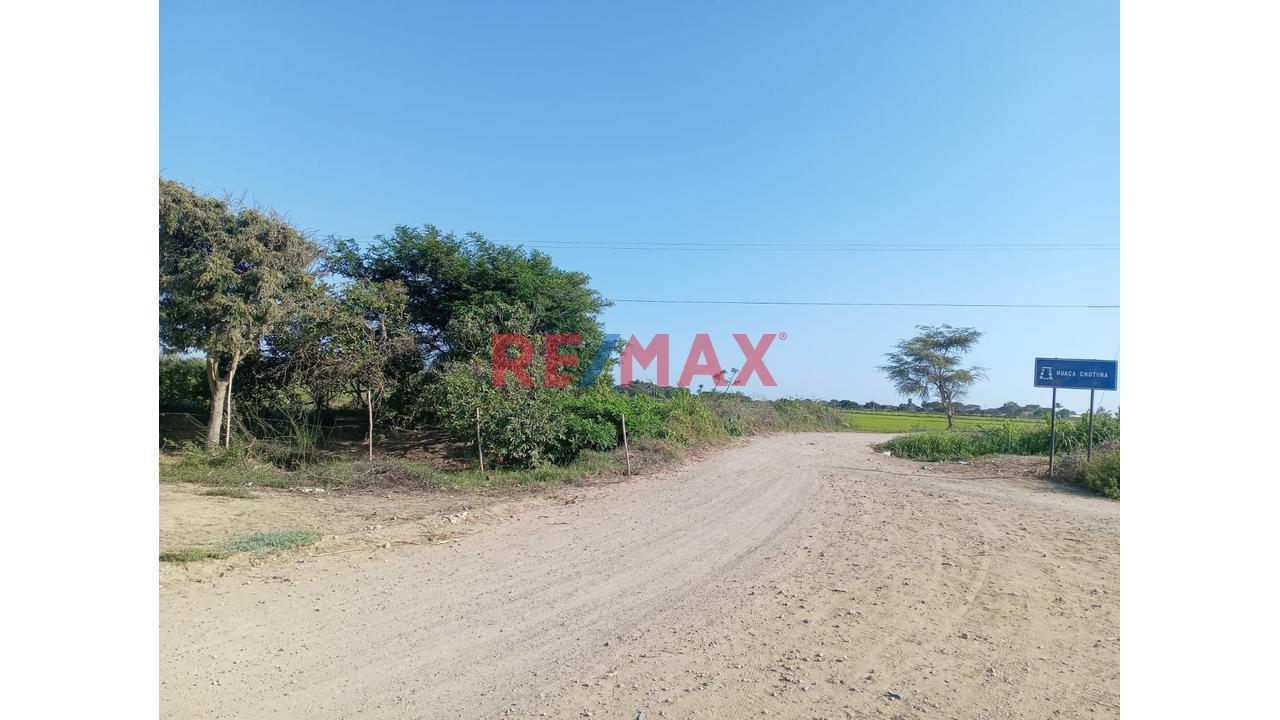 Terreno  Agricola  En Venta  Lambayeque - 5