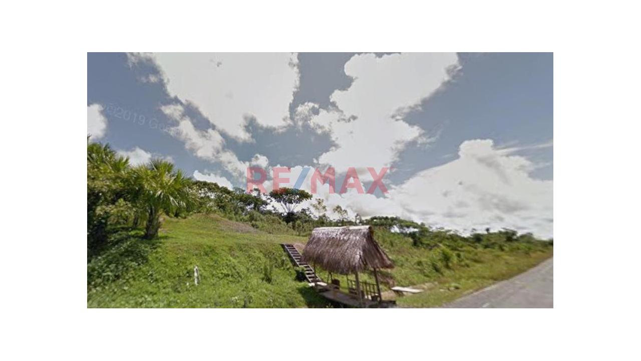 Terreno Rustico De 128.48 Ha En Venta – Carretera Iquitos–Nauta - 3