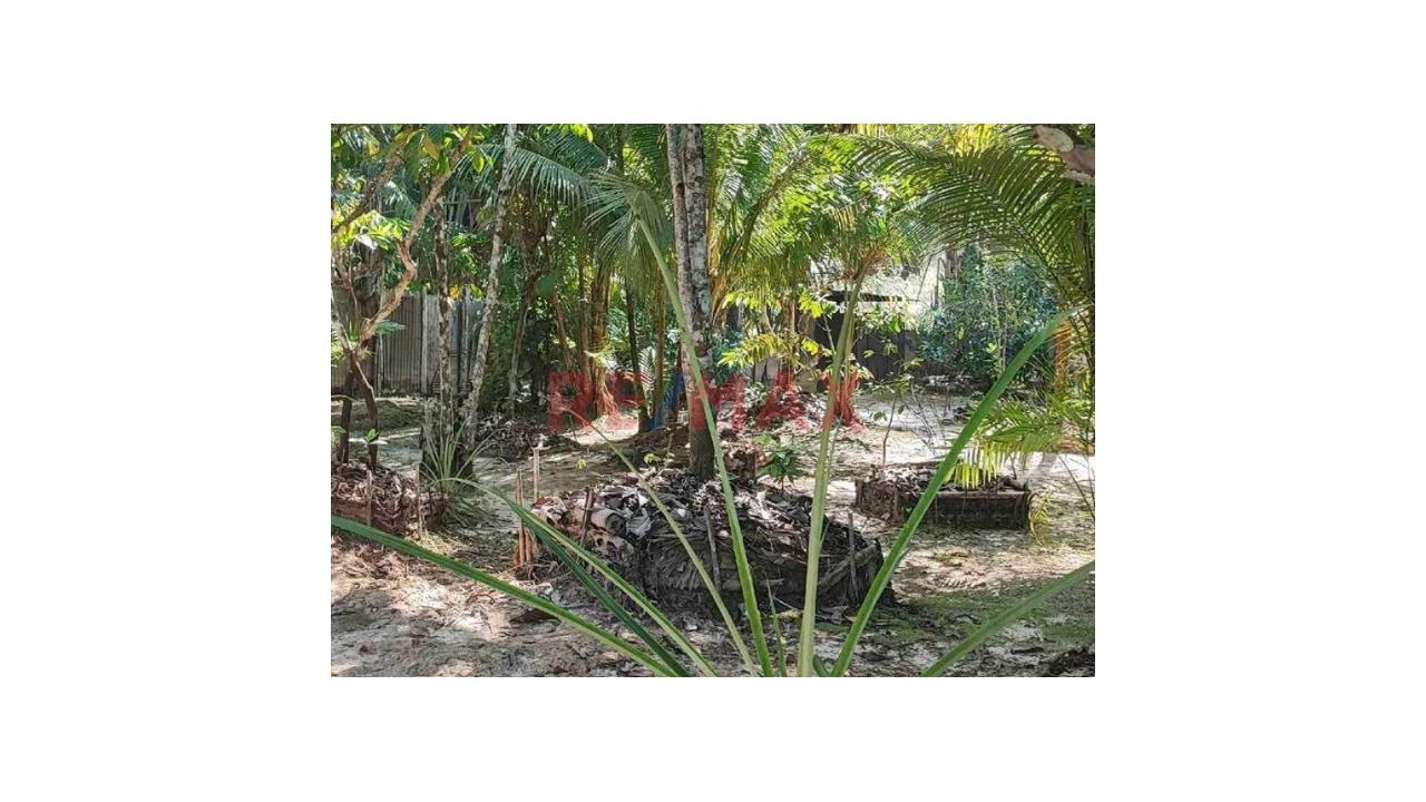 Terreno Rustico De 128.48 Ha En Venta – Carretera Iquitos–Nauta - 5