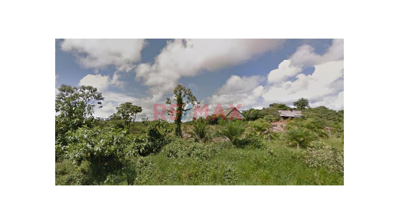 Terreno Rustico De 128.48 Ha En Venta – Carretera Iquitos–Nauta - 8