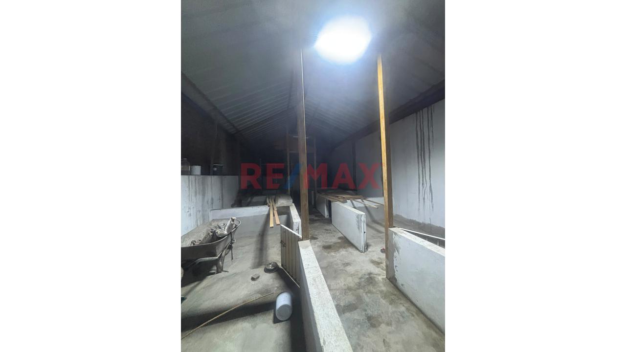 Venta De Terreno De 121 Aprox En Carabayllo El Progreso - 6