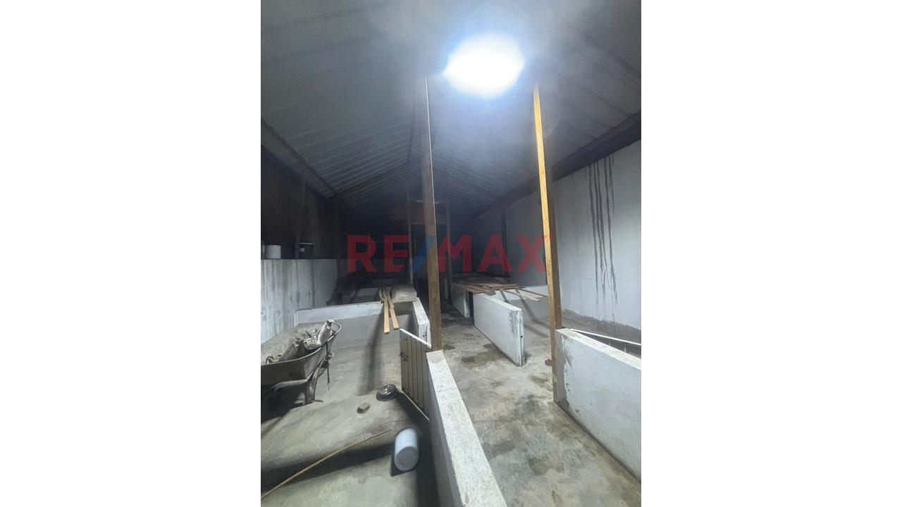 Venta De Terreno De 121 Aprox En Carabayllo El Progreso - 2