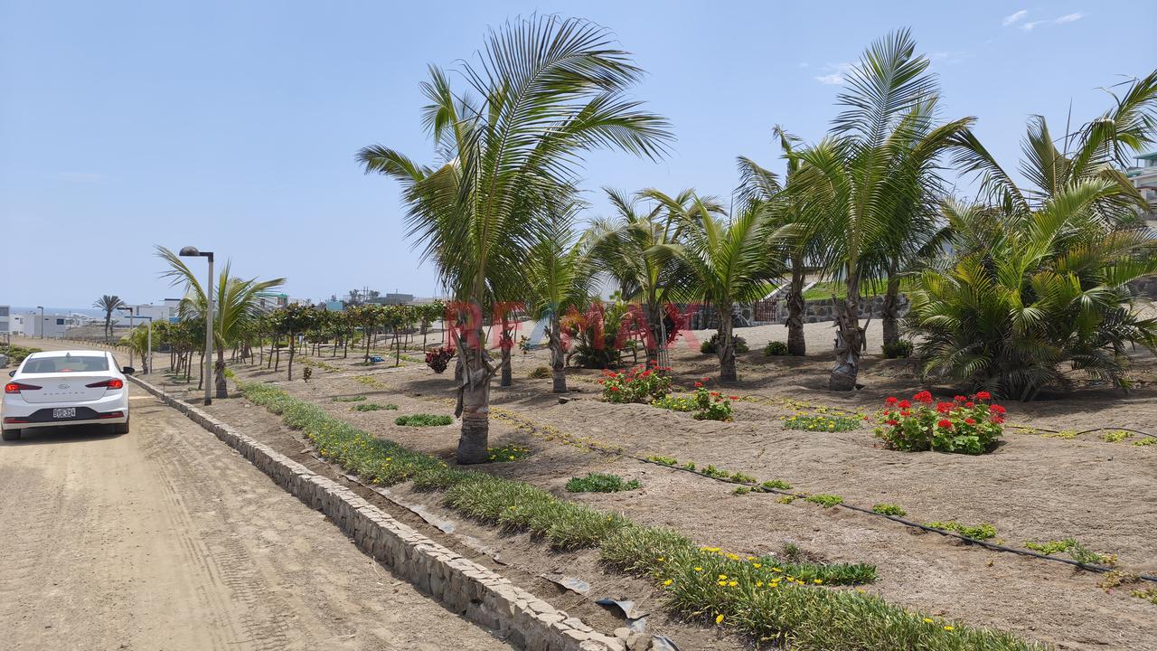 Venta De Terreno De Playa En Primera Fila – 200. 00M² | Vista Al Mar — foto 3