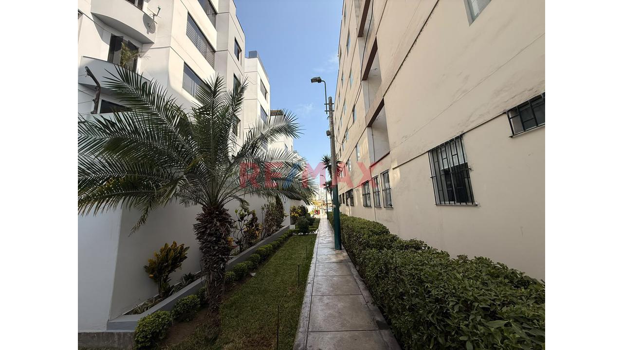🏡 𝐃𝐄𝐏𝐀𝐑𝐓𝐀𝐌𝐄𝐍𝐓𝐎 𝐄𝐍 𝐀𝐋𝐐𝐔𝐈𝐋𝐄𝐑 – 𝐒𝐀𝐍 𝐁𝐎𝐑𝐉𝐀 - 2