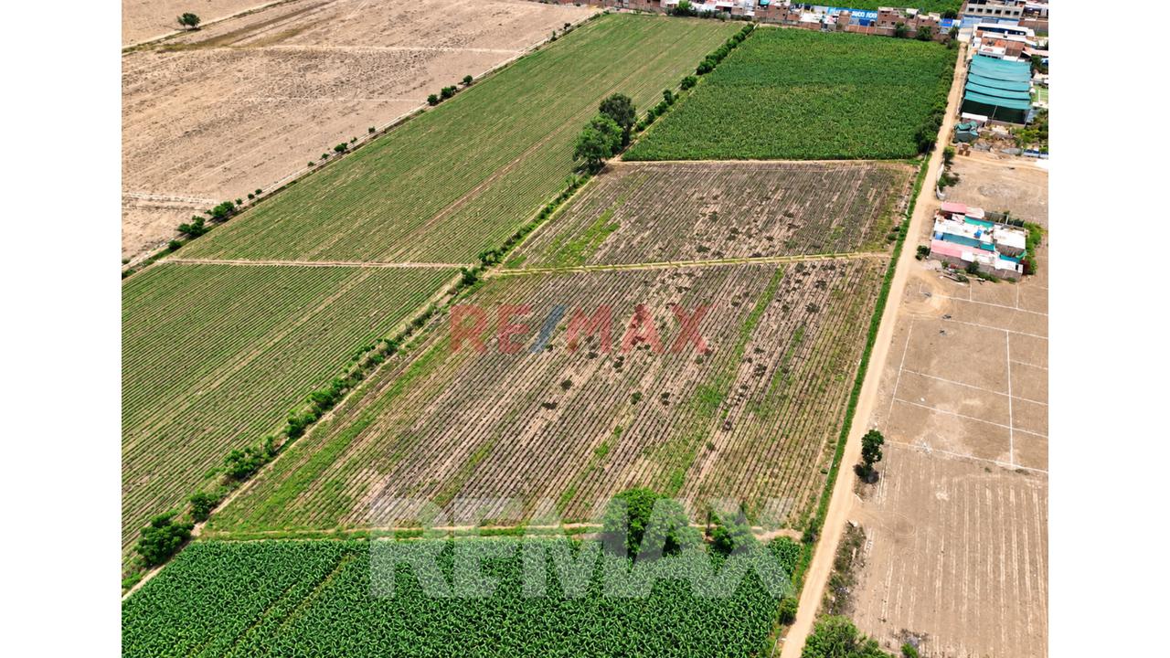 Venta De Terreno Huaral 12500M2 Sector Retes Zonificación Zdm — foto 10