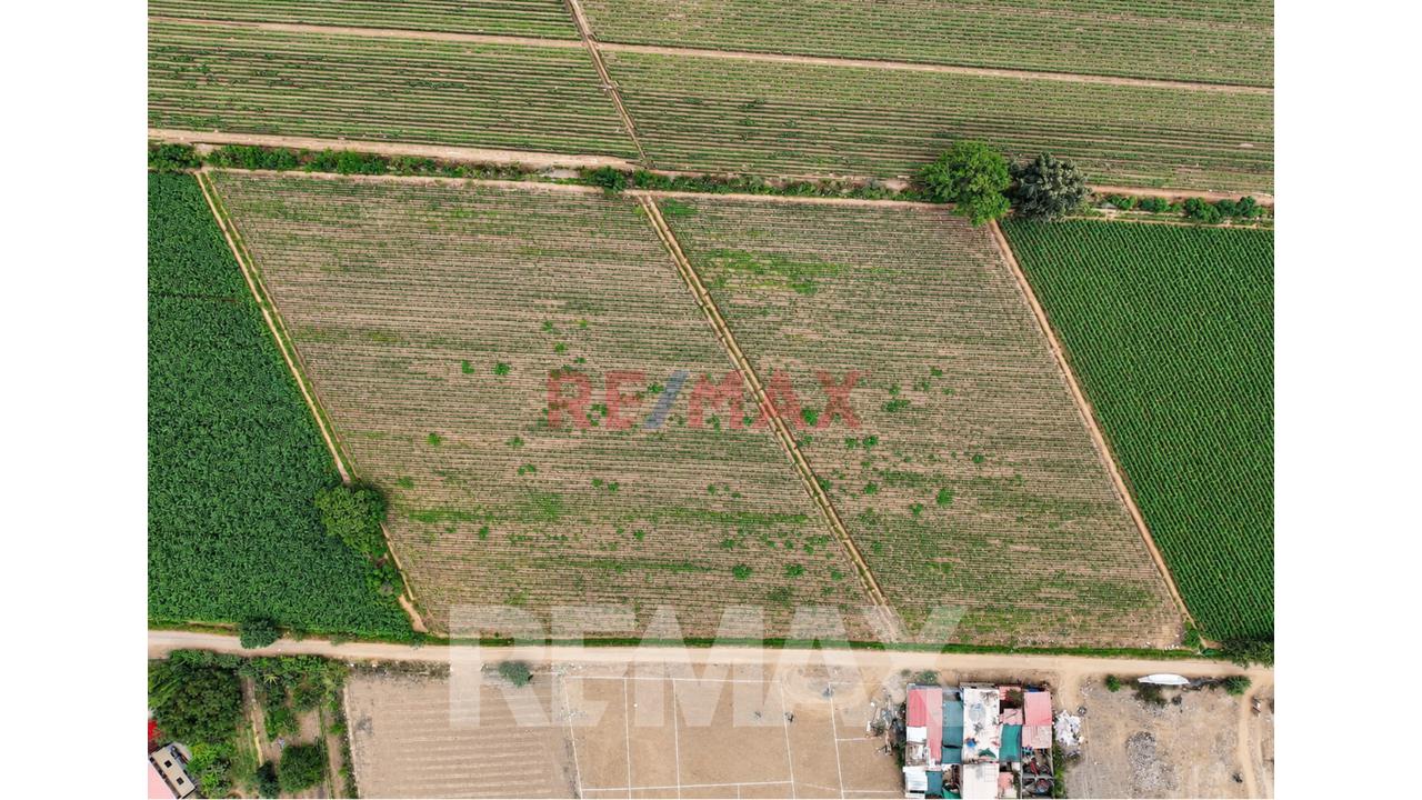 Venta De Terreno Huaral 12500M2 Sector Retes Zonificación Zdm — foto 2