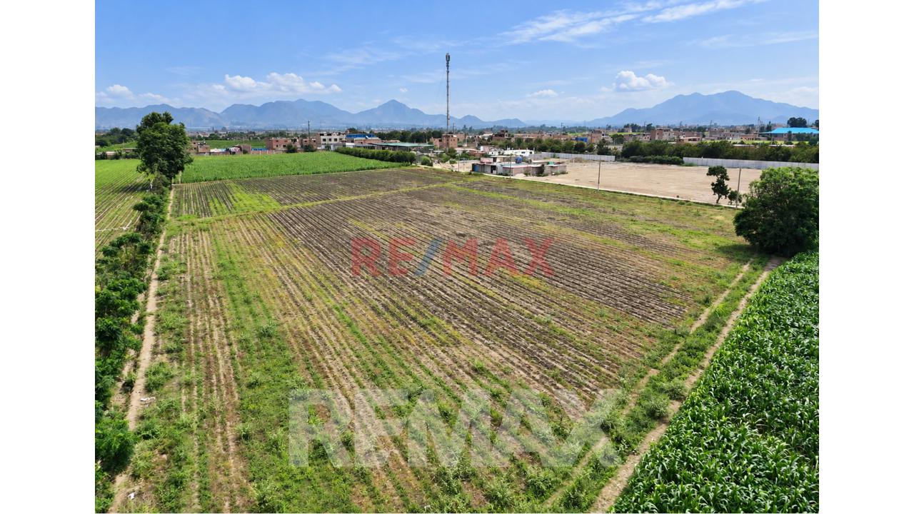 Venta De Terreno Huaral 12500M2 Sector Retes Zonificación Zdm — foto 8