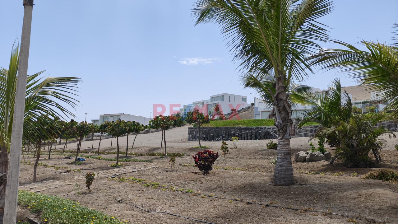 Venta De Terreno De Playa En Primera Fila – 307.09 M² | Vista Al Mar - 3