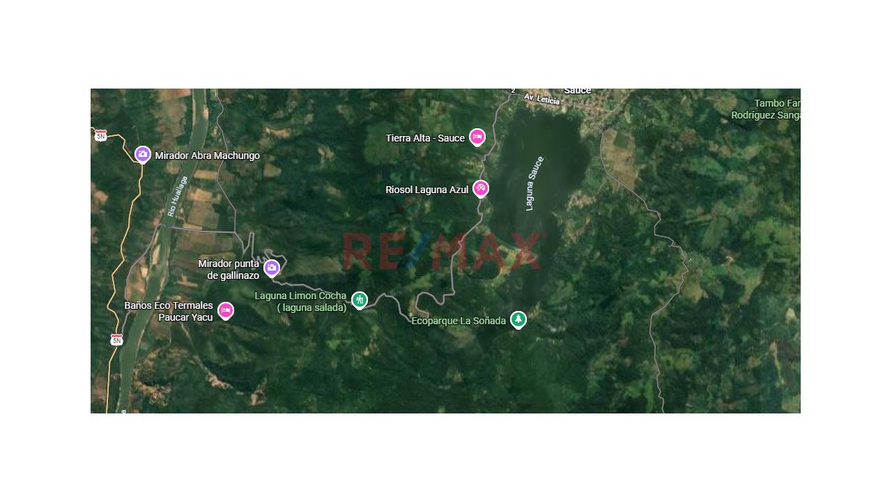 ¡Oportunidad Única! Fundo De 7.3 Ha En Sauce Con Salida Directa A La Pista Y A La Laguna" - 5