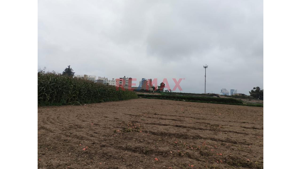 Oportunidad Estrategica De Inversion - Predio 3.34 Ha - 5