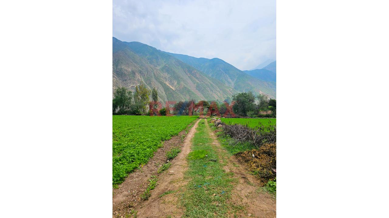 Terreno En Venta – Huarochirí - 4