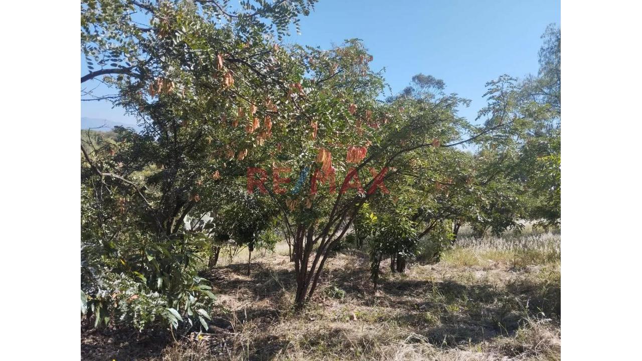 🌿 Vendo Amplio Terreno En Huanta – Ayacucho Frente A Carretera ✨ - 2
