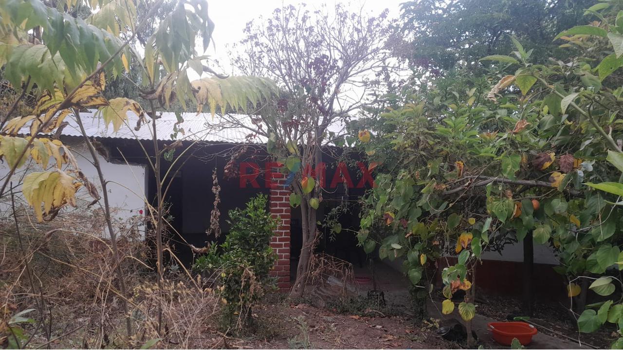 🌿 Vendo Amplio Terreno En Huanta – Ayacucho Frente A Carretera ✨ — foto 4