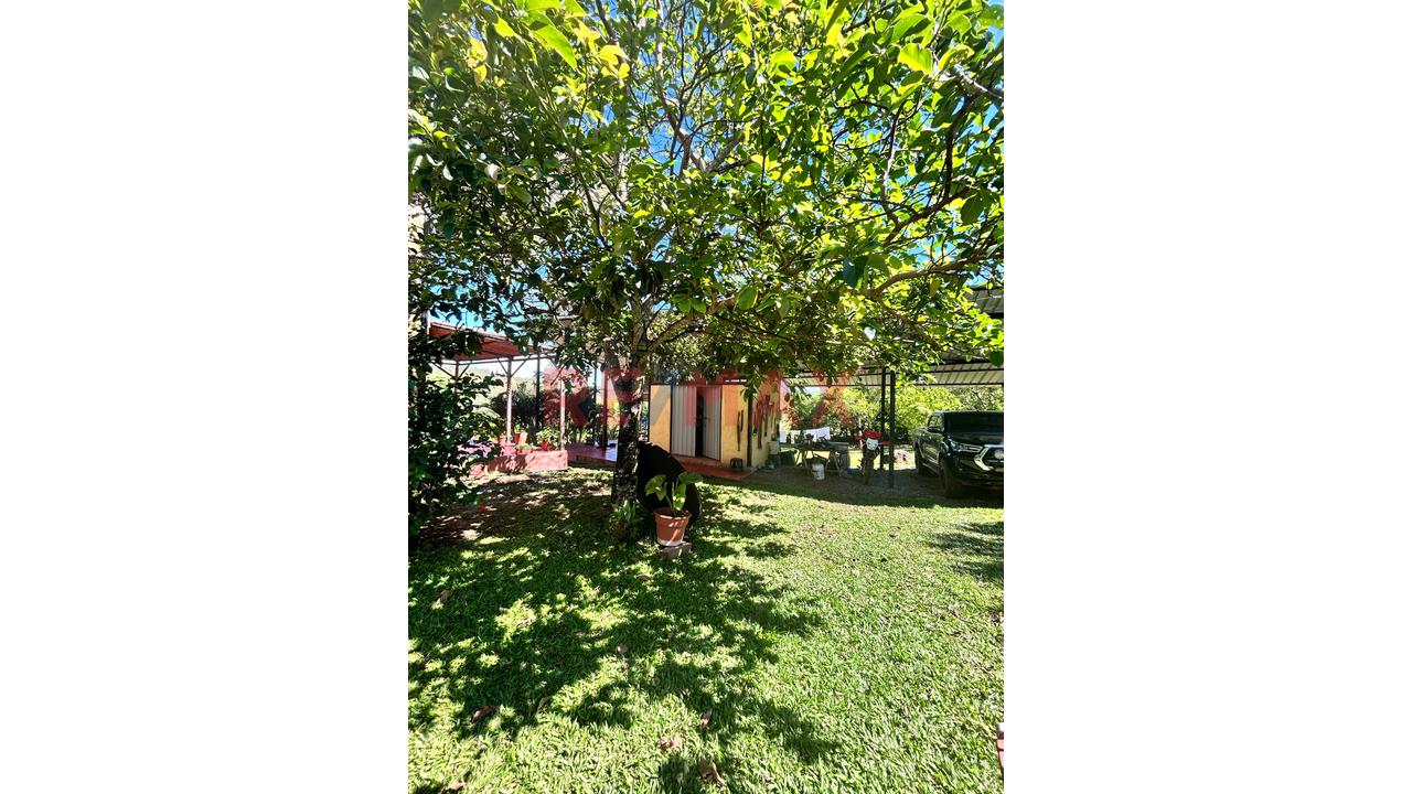 Finca Privada Con Casa, Piscina, Cultivos Y Quebrada Cerca De Tarapoto! - 17