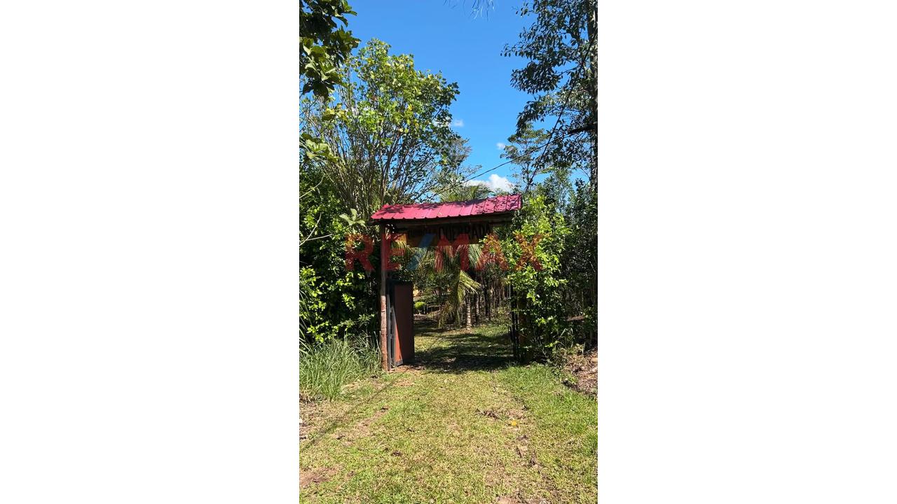 Finca Privada Con Casa, Piscina, Cultivos Y Quebrada Cerca De Tarapoto! - 21