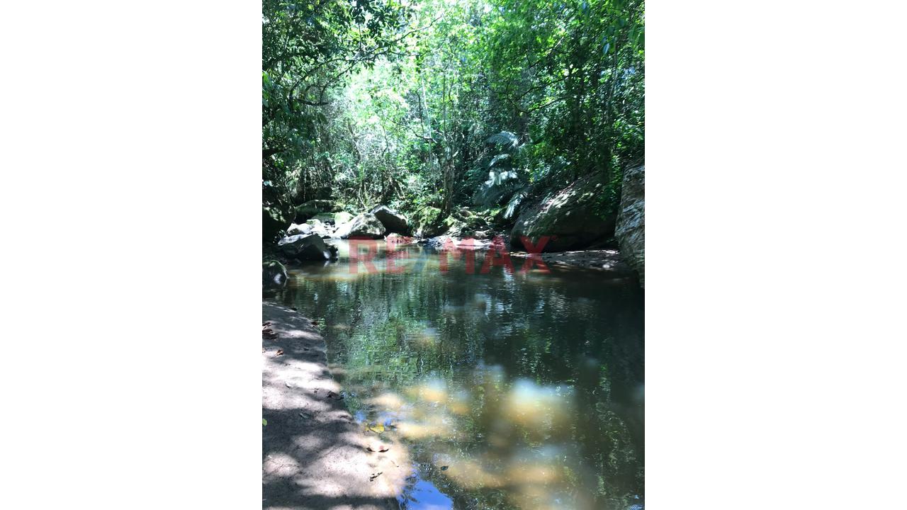 Finca Privada Con Casa, Piscina, Cultivos Y Quebrada Cerca De Tarapoto! - 18