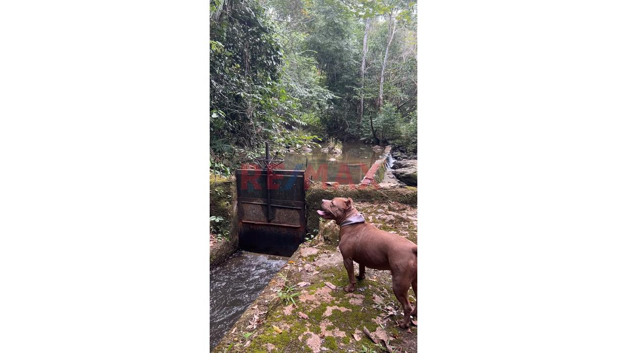 Finca Privada Con Casa, Piscina, Cultivos Y Quebrada Cerca De Tarapoto! - 3