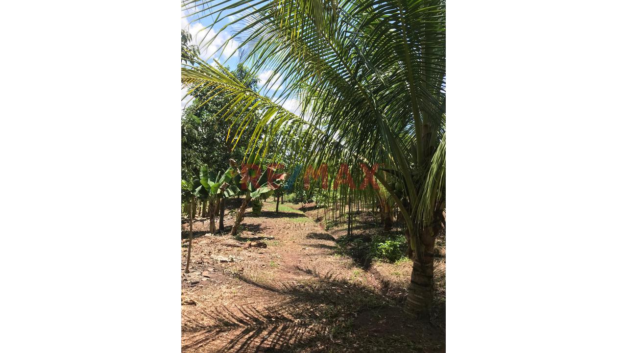 Finca Privada Con Casa, Piscina, Cultivos Y Quebrada Cerca De Tarapoto! - 7