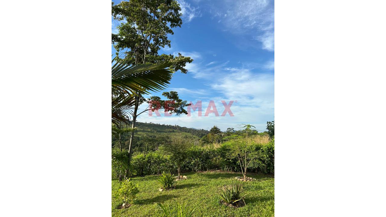 Finca Privada Con Casa, Piscina, Cultivos Y Quebrada Cerca De Tarapoto! - 6