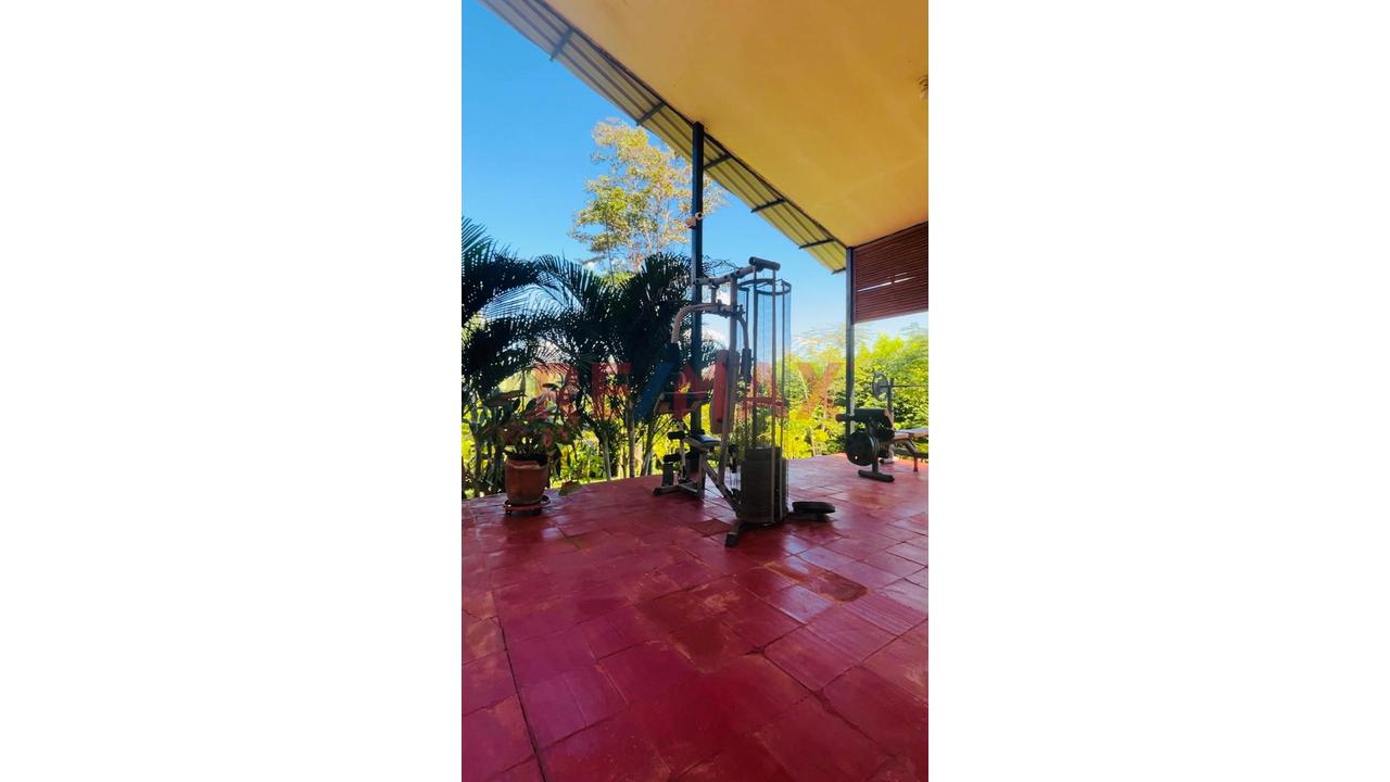 Finca Privada Con Casa, Piscina, Cultivos Y Quebrada Cerca De Tarapoto! - 15