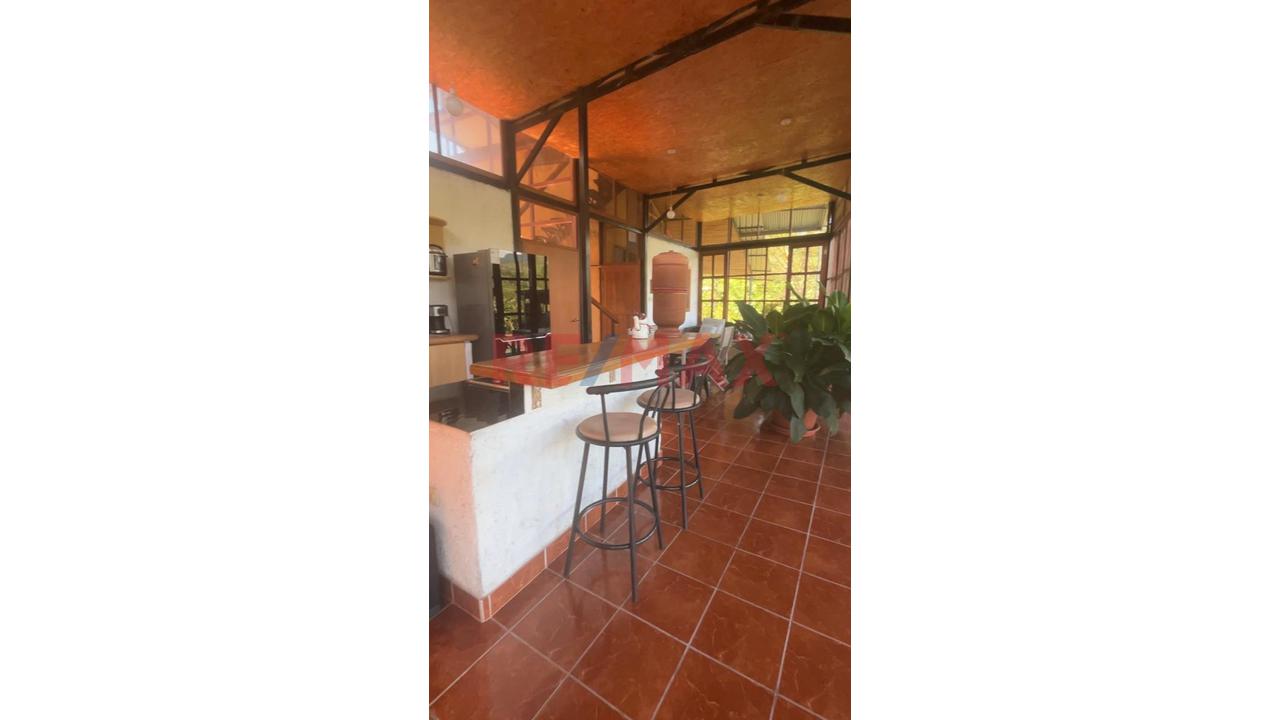 Finca Privada Con Casa, Piscina, Cultivos Y Quebrada Cerca De Tarapoto! - 12