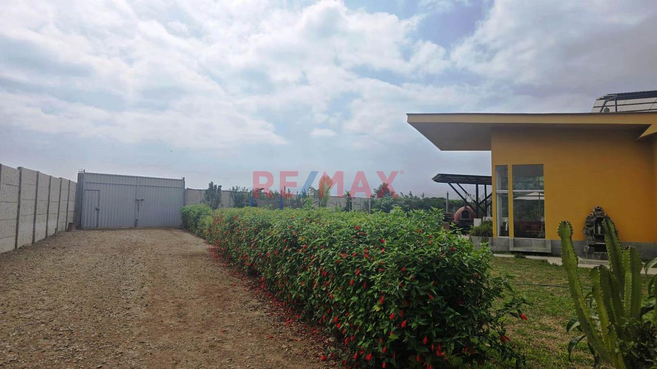 Terreno En Venta 1.288 Ha. En Quilmaná - Cañete - 6