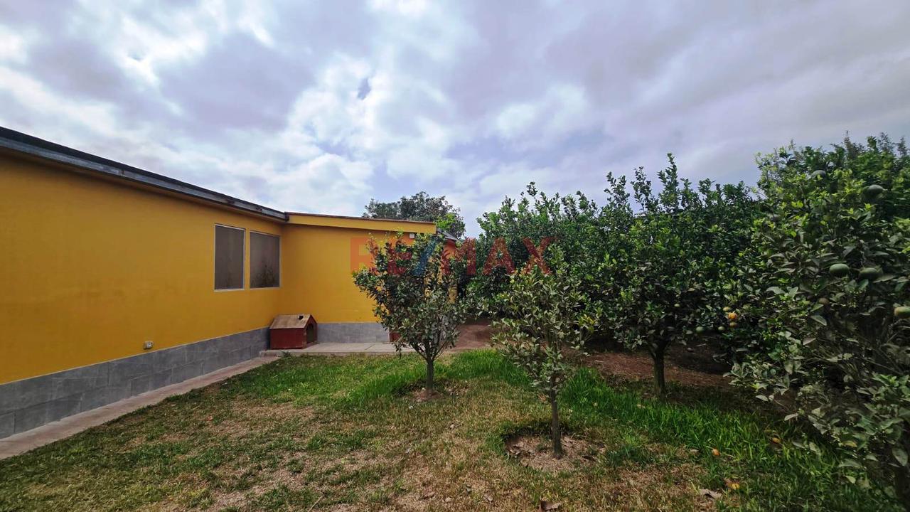 Terreno En Venta 1.288 Ha. En Quilmaná - Cañete - 15